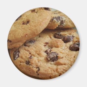 Chocolate Chip Cookie Magnet