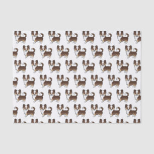 Chocolate Dreifarben Langhaar Chihuahua Hund Muste Seidenpapier