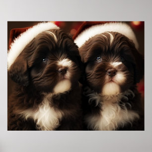 Chocolate HavaHug Havanese Christmas Puzzle Poster