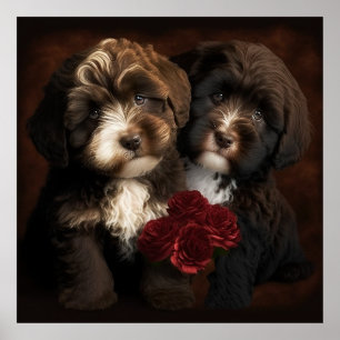 Chocolate Havanese Puppies Wall Print by HavaHug Poster