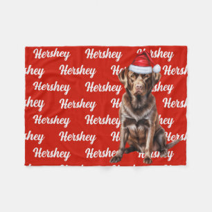 Chocolate Lab Santa-Hund mit individuellem Namen W Fleecedecke