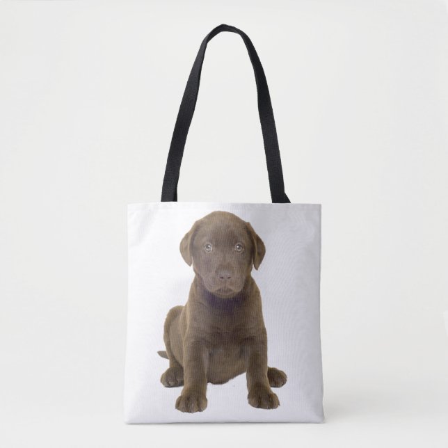 Chocolate-Lab-Welpe (Vorderseite)