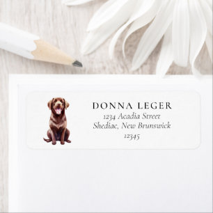 Chocolate Labrador Dog-Adresse