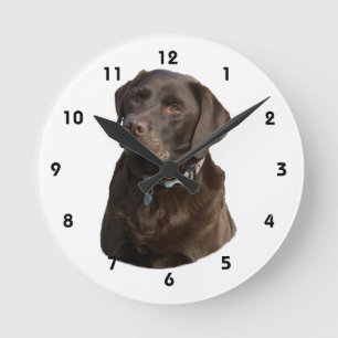 Chocolate Labrador dog photo portrait Runde Wanduhr