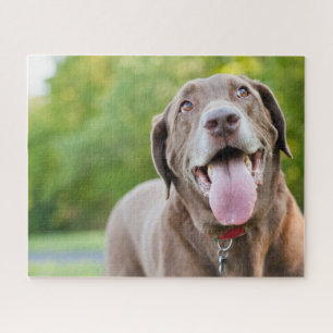 Chocolate Labrador Dog Puzzle