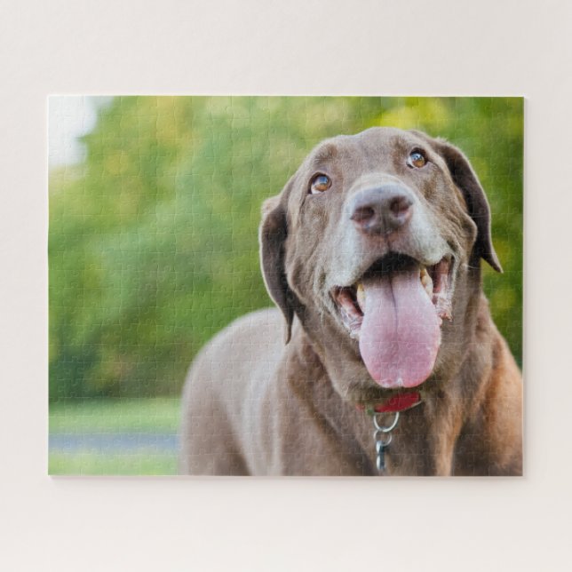 Chocolate Labrador Dog Puzzle (Horizontal)