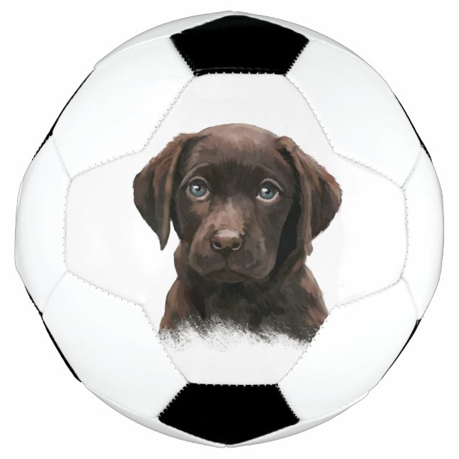 Chocolate Labrador Puppy Fußball (Vorderseite)