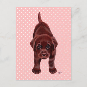 Chocolate Labrador Puppy Postkarte