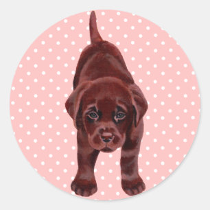 Chocolate Labrador Puppy Runder Aufkleber