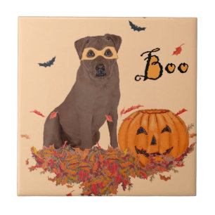 Chocolate Labrador Retriever Buh! Fliese