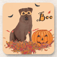 Chocolate Labrador Retriever Buh!