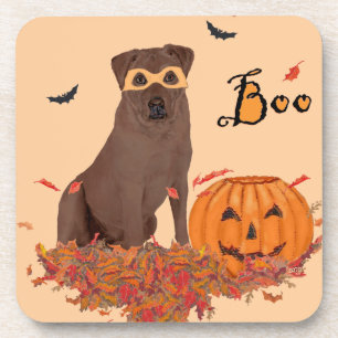 Chocolate Labrador Retriever Buh! Getränkeuntersetzer