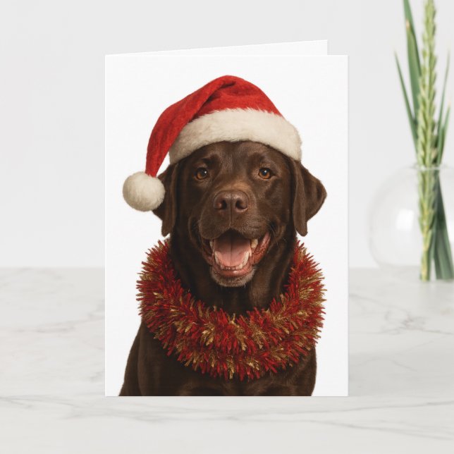 Chocolate Labrador Retriever Dog Christmas card Karte (Vorderseite)