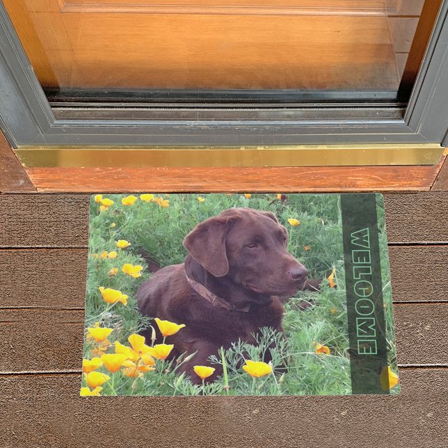 Chocolate Labrador Retriever Dog in Orange Poppies Fußmatte (Von Creator hochgeladen)