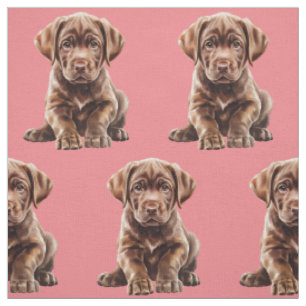 Chocolate Labrador Retriever Hund Stoff