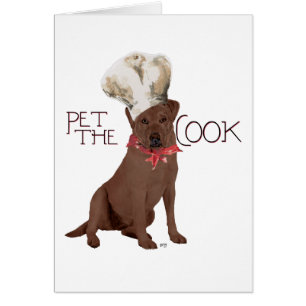 Chocolate-Labrador-Retriever-Koch