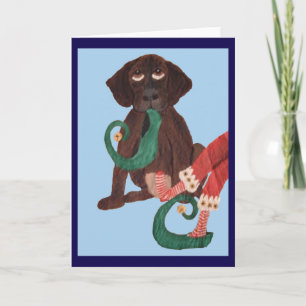 Chocolate-Labrador-Welpe stiehlt einem Elf einen S Karte