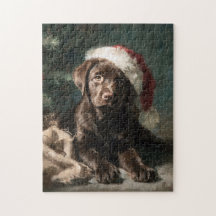 Chocolate-Labrador-Welpen-Weihnachtsbild