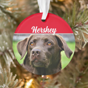 Chocolate Labrador with Name and Photo Christmas Ornament