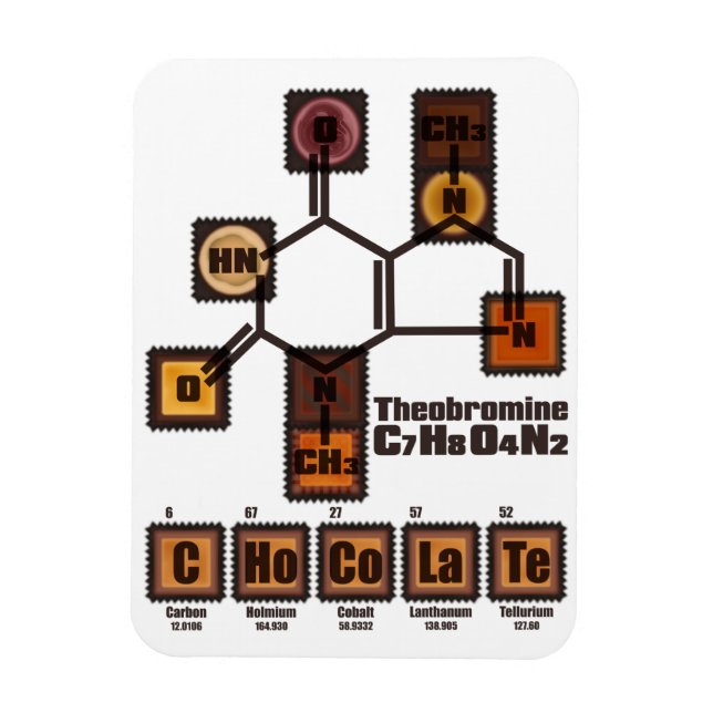 CHoCoLaTe Magnet (Vertikal)