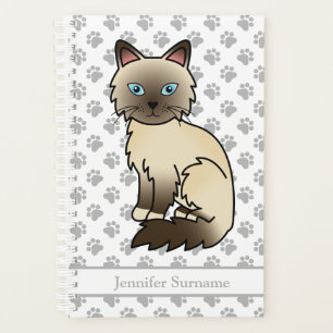 Chocolate-Point-Birman/Ragdoll-Katze und Pfoten & Planer