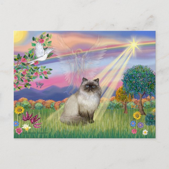 Chocolate Point Himalayan Cat - Cloud Angel Postkarte (Vorderseite)