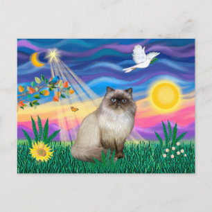 Chocolate Point Himalayan Cat - Twilight Postkarte