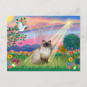 Chocolate Point Himalayan Katze - Cloud Angel Postkarte