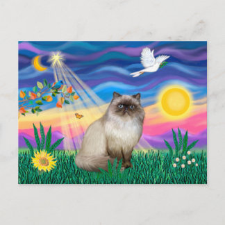 Chocolate Point Himalayan Katze - Zwielicht Postkarte