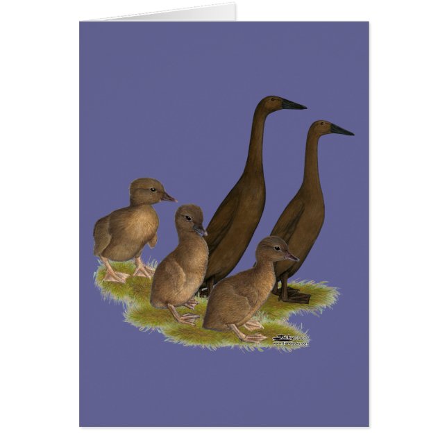 Chocolate Runner Duck Family (Vorne)