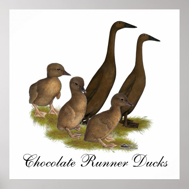 Chocolate Runner Duck Family Poster (Vorne)