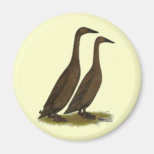Chocolate Runner Ducks Magnet