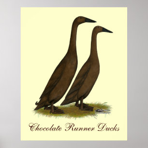 Chocolate Runner Ducks Poster