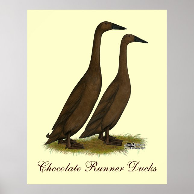 Chocolate Runner Ducks Poster (Vorne)