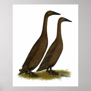 Chocolate Runner Ducks Poster