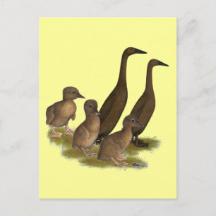 Chocolate Runner Entenfamilie Postkarte