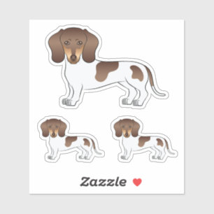 Chocolate & Tan Pied Kurzhaar-Dachshund Süßer Hund Aufkleber