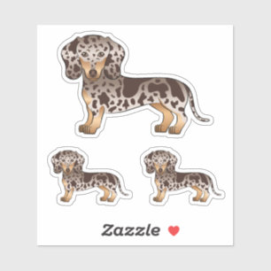 Chocolate und Tan Dapple Kurzhaar Dachshund Hund Aufkleber