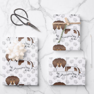 Chocolate- und Tan-Piebald Langhaar-Dachshund und Geschenkpapier Set