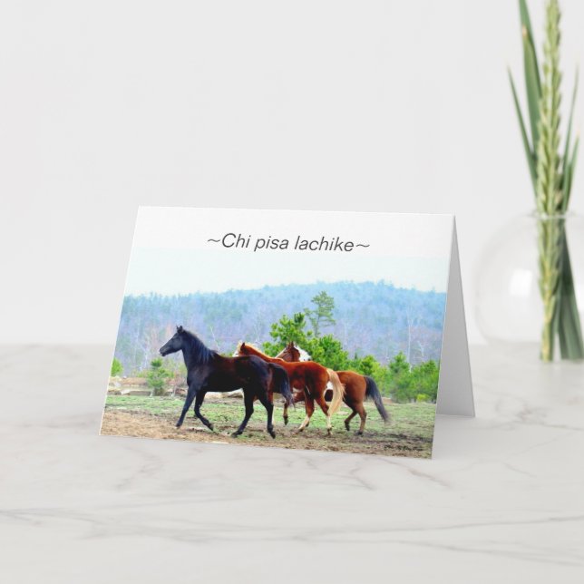 Choctaw-Gruß-Karten (Chipisa lachike) Karte (Vorderseite)