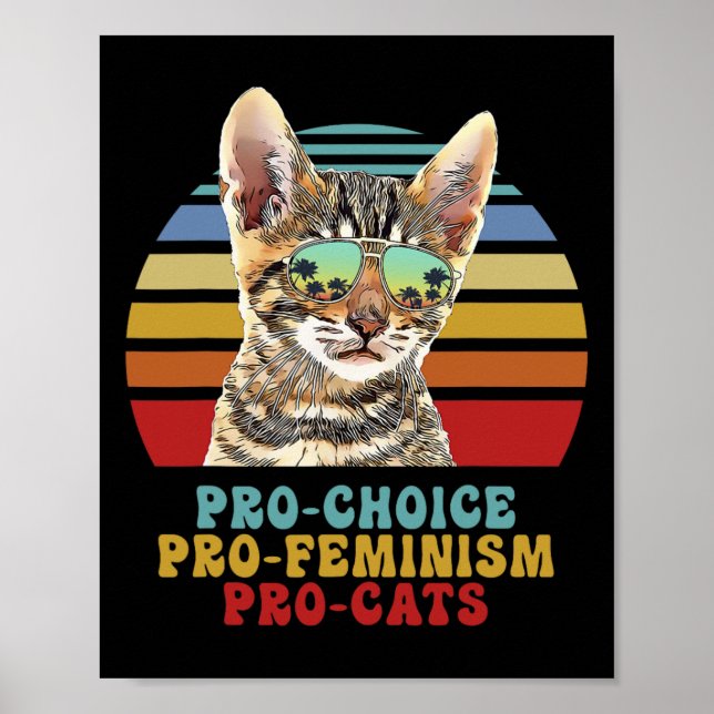 Choice Pro Feminismus Pro Katzen Frauenrechte Femi Poster (Vorne)