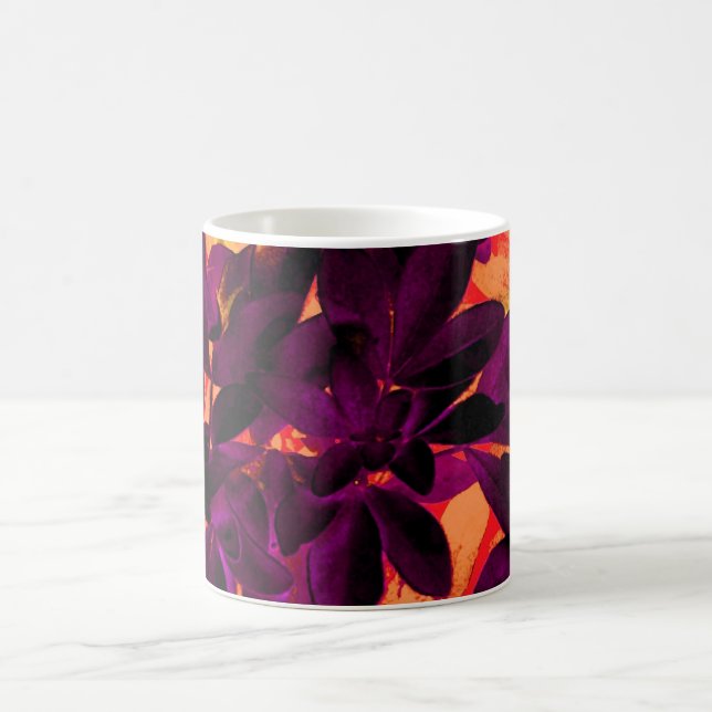 Choisya Herbst 3 Tasse (Mittel)