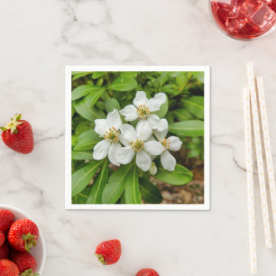 Choisya Ternata Paper Napkins Serviette