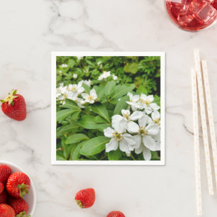 Choisya Ternata Paper Napkins Serviette