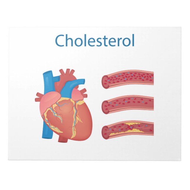 Cholesterin Notizblock (Vorderseite)