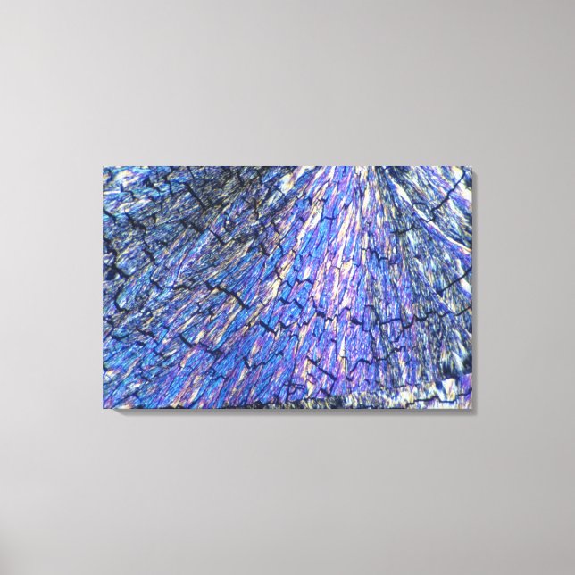 Cholesterinkristalle im Polarlicht 2 Leinwanddruck (Vorderseite)