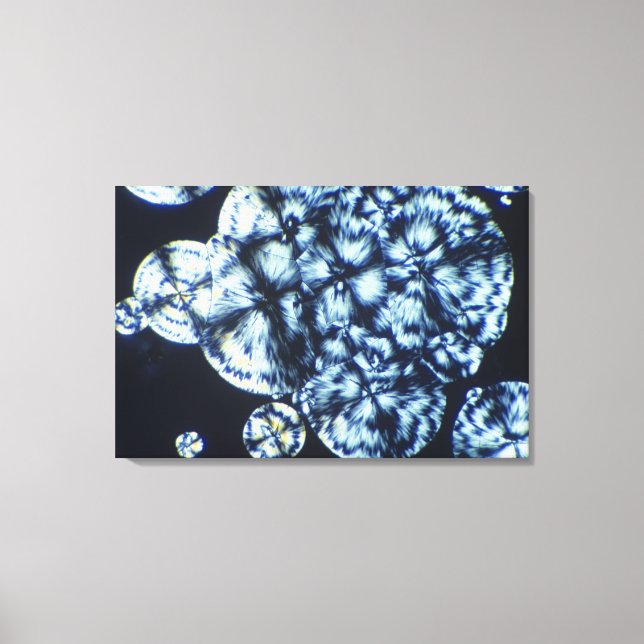 Cholesterinkristalle in Polarisiertem Licht Leinwanddruck (Vorderseite)