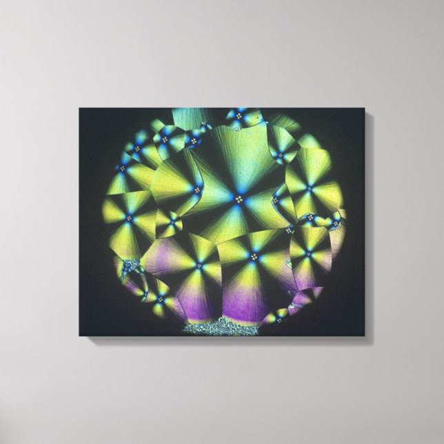 Cholesterol Crystals Leinwanddruck (Vorderseite)