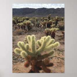 Cholla Cactus Joshua Tree Park Foto Poster