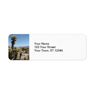 Cholla Garden - Joshua Tree